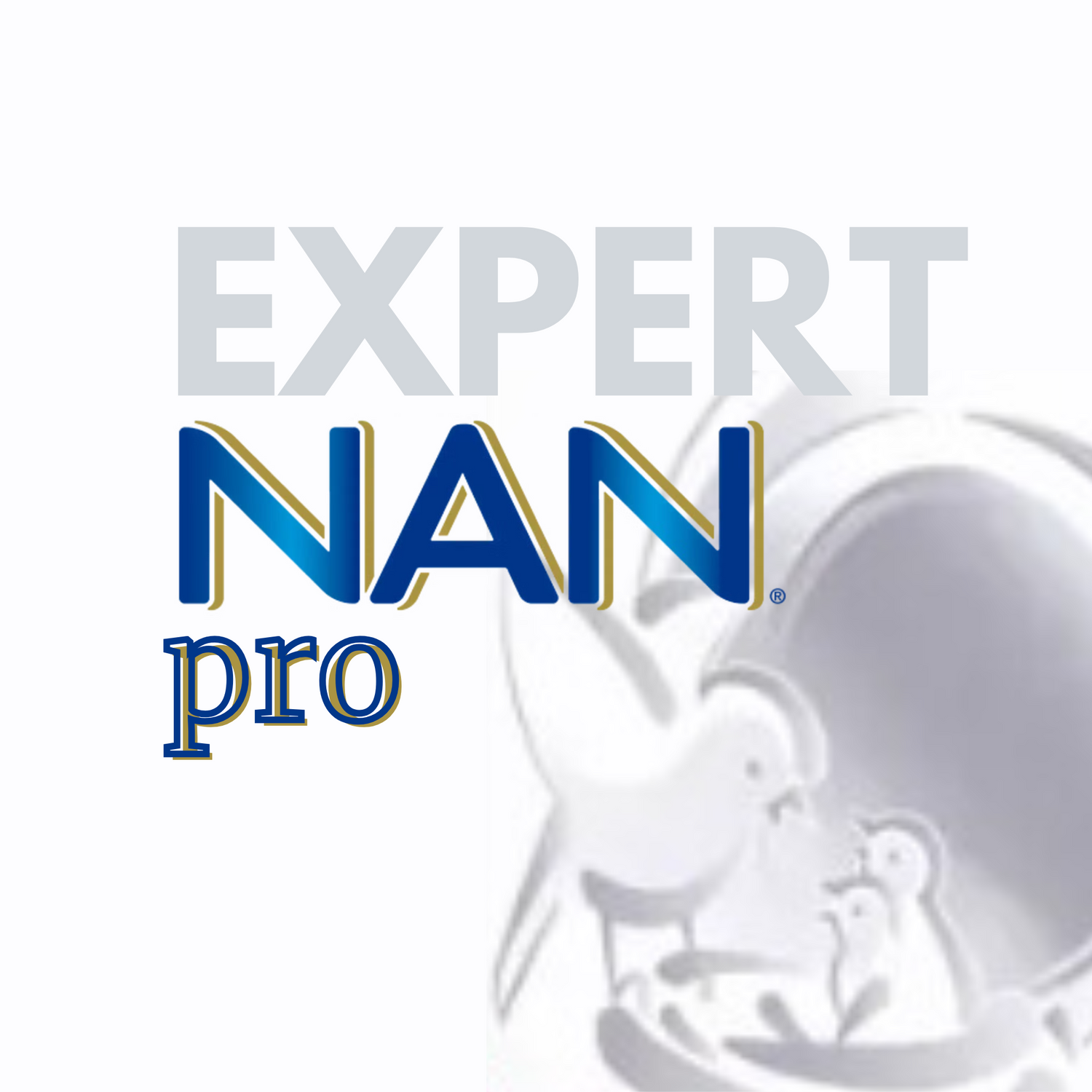 LOGO EXPERT NAN